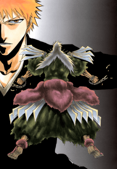 BLEACH: The Sealed Sword Frenzy anime
